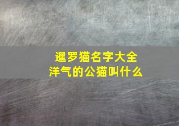 暹罗猫名字大全洋气的公猫叫什么