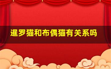 暹罗猫和布偶猫有关系吗