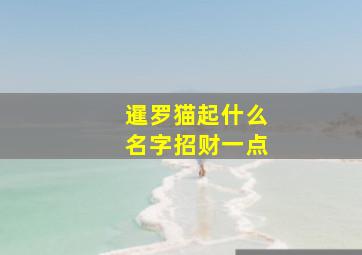 暹罗猫起什么名字招财一点