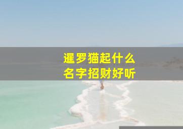 暹罗猫起什么名字招财好听