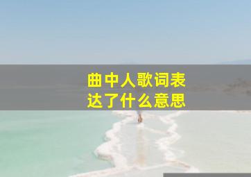 曲中人歌词表达了什么意思