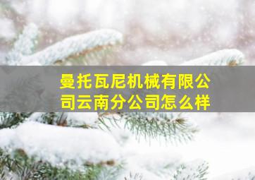 曼托瓦尼机械有限公司云南分公司怎么样