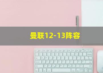 曼联12-13阵容