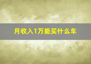 月收入1万能买什么车