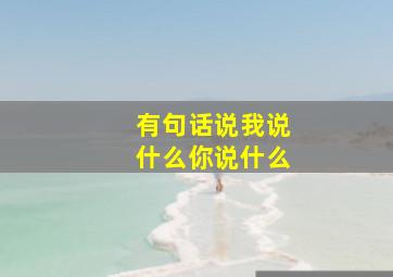 有句话说我说什么你说什么