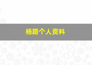 杨路个人资料