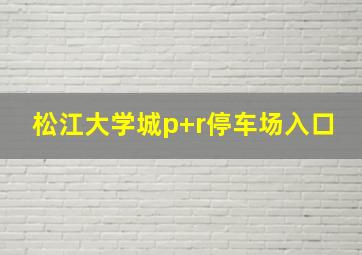 松江大学城p+r停车场入口