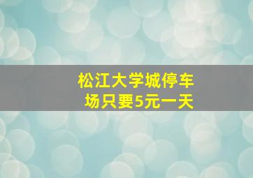 松江大学城停车场只要5元一天