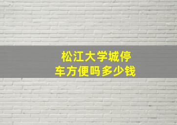 松江大学城停车方便吗多少钱