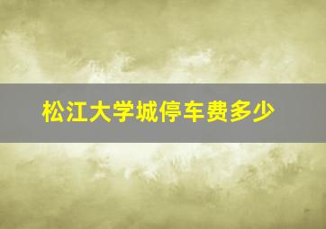 松江大学城停车费多少