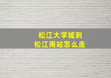 松江大学城到松江南站怎么走