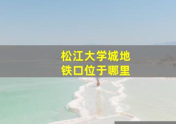 松江大学城地铁口位于哪里