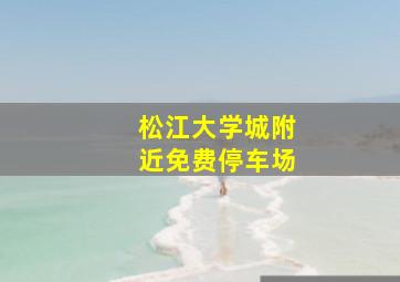 松江大学城附近免费停车场