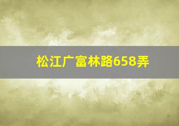 松江广富林路658弄