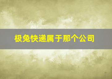 极兔快递属于那个公司