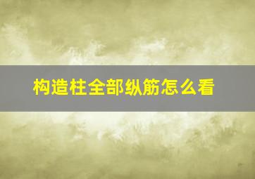 构造柱全部纵筋怎么看