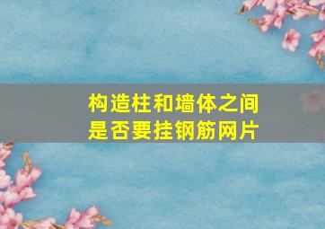 构造柱和墙体之间是否要挂钢筋网片