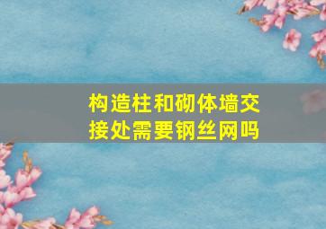 构造柱和砌体墙交接处需要钢丝网吗