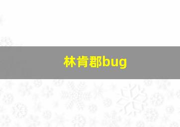 林肯郡bug