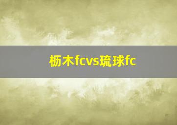 枥木fcvs琉球fc