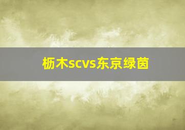 枥木scvs东京绿茵