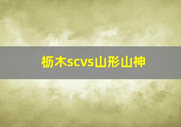 枥木scvs山形山神