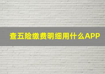 查五险缴费明细用什么APP