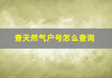 查天然气户号怎么查询