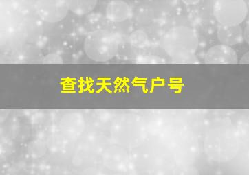 查找天然气户号