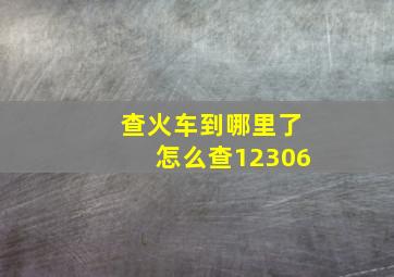 查火车到哪里了怎么查12306