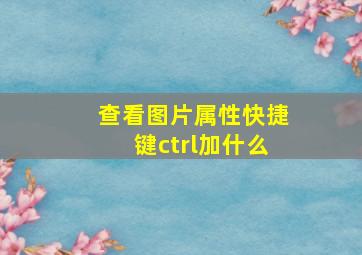 查看图片属性快捷键ctrl加什么