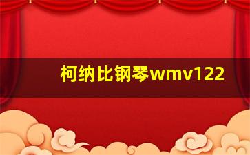 柯纳比钢琴wmv122