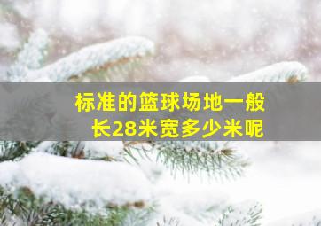 标准的篮球场地一般长28米宽多少米呢