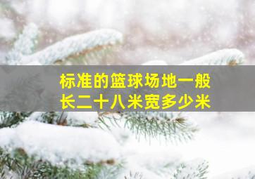 标准的篮球场地一般长二十八米宽多少米