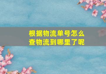 根据物流单号怎么查物流到哪里了呢