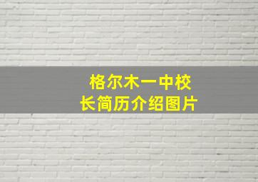 格尔木一中校长简历介绍图片