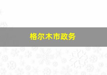 格尔木市政务