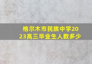 格尔木市民族中学2023高三毕业生人数多少