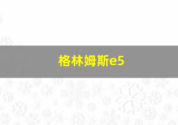 格林姆斯e5