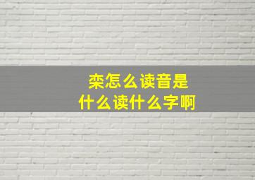 栾怎么读音是什么读什么字啊