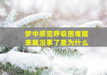 梦中感觉呼吸困难醒来就没事了是为什么