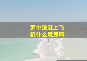 梦中没赶上飞机什么意思啊