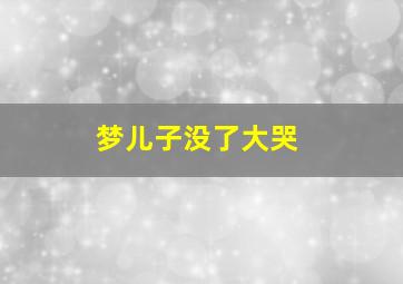 梦儿子没了大哭