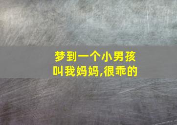 梦到一个小男孩叫我妈妈,很乖的