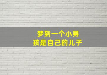 梦到一个小男孩是自己的儿子