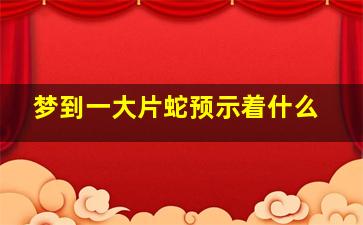 梦到一大片蛇预示着什么