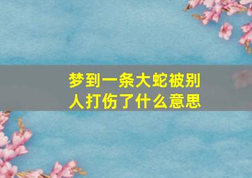 梦到一条大蛇被别人打伤了什么意思