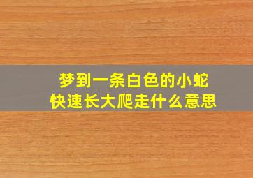 梦到一条白色的小蛇快速长大爬走什么意思