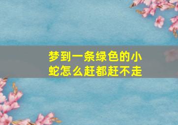 梦到一条绿色的小蛇怎么赶都赶不走