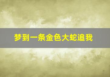 梦到一条金色大蛇追我